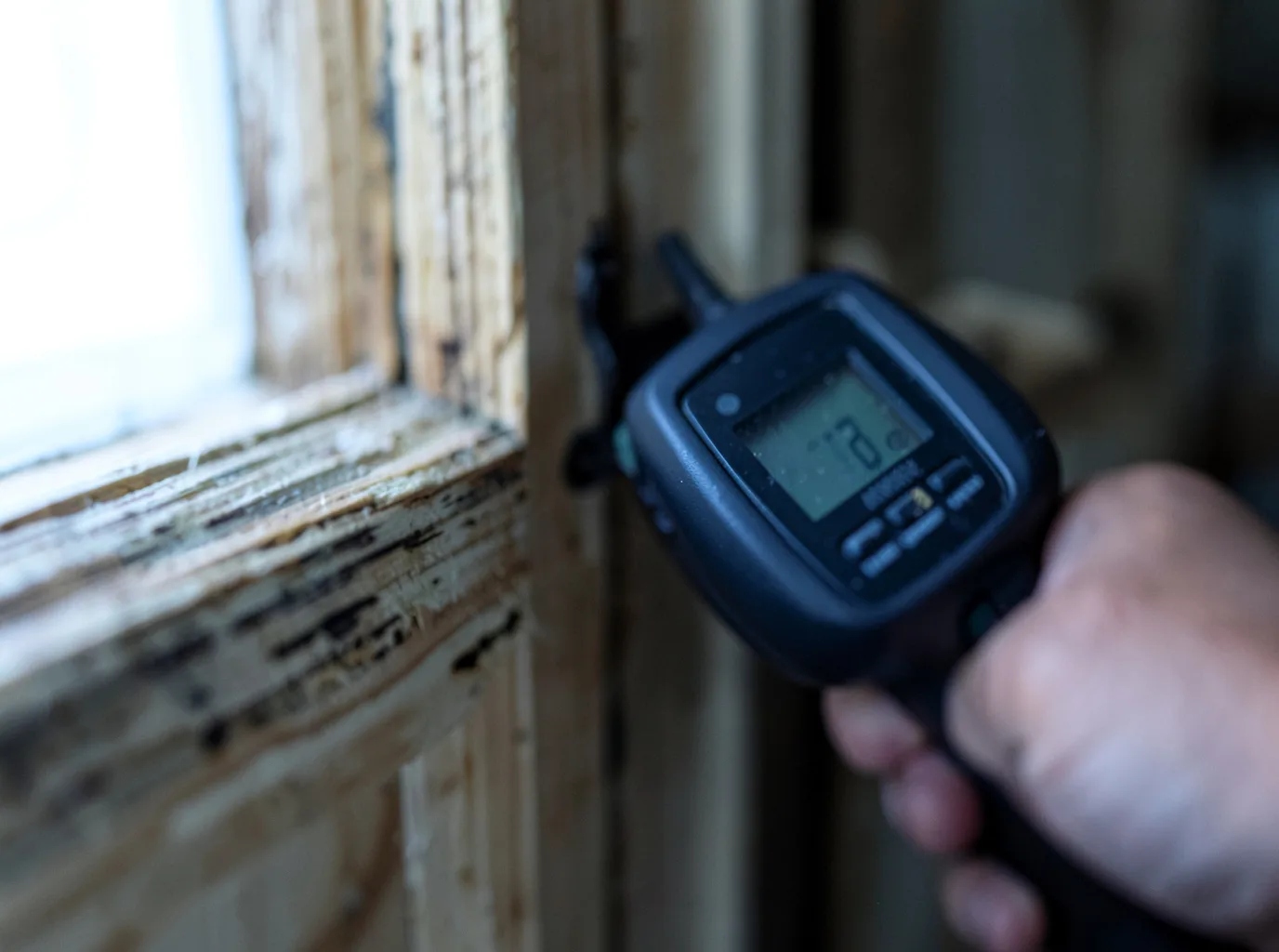 Moisture Inspection And Documentation in Montegut, LA